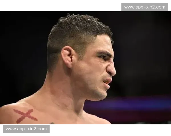 野兽的终局，宿命的轮回：探寻UFC布洛克vs凯恩二战的血色浪漫